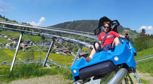 Junge auf einer Sommerrodelbahn in Bayern, genießt die Fahrt mit Blick auf grüne Berge und gelbe Blumen.