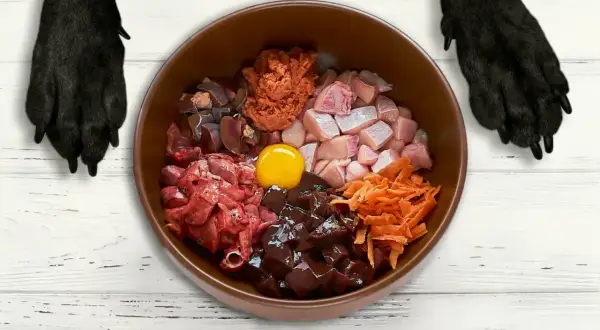 Miseczka pełna składników na dietę BARF: mięso, podroby, marchewka i jajko. Czekają na psiego smakosza.