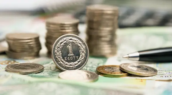 Stos monet i banknotów, pióro. Zastanawiasz się, jakie obligacje warto kupić, by pomnożyć swój kapitał?
