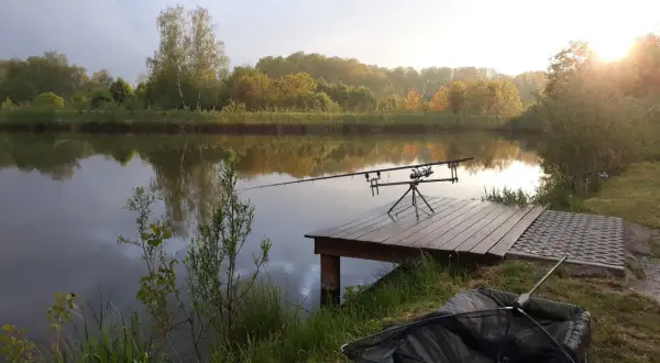 Spokojne łowisko pod borem. Wędki na statywie czekają na branie przy spokojnej tafli wody. W tle drzewa i zachodzące słońce.