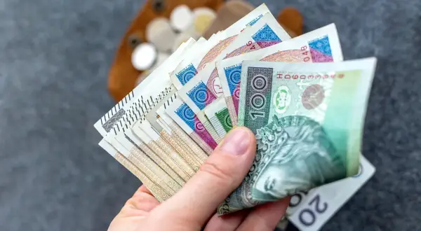 Dłoń trzyma polskie banknoty. Zastanawiasz się, renta 2 grupa ile wynosi? Oto przykładowe kwoty.