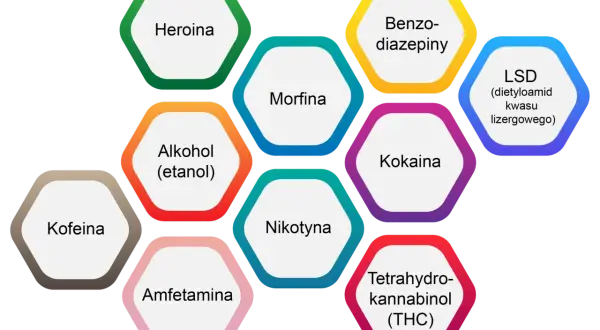 Wykres przedstawia najbardziej uzależniające substancje: heroinę, alkohol, nikotynę, amfetaminę, kofeinę, morfinę, benzodiazepiny, kokainę, LSD i THC.