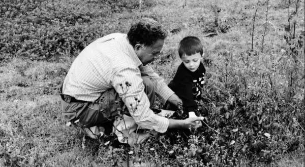 Uomo e bambino in ginocchio tra l'erba, intenti a raccogliere qualcosa. Un momento di condivisione nella natura.