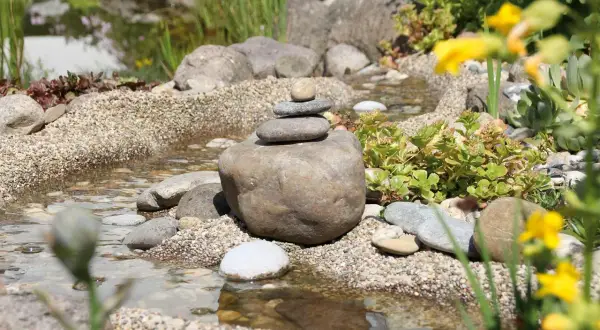 Un aménagement ruisseau naturel avec des galets empilés, des plantes succulentes et des fleurs jaunes. L'eau reflète le ciel.