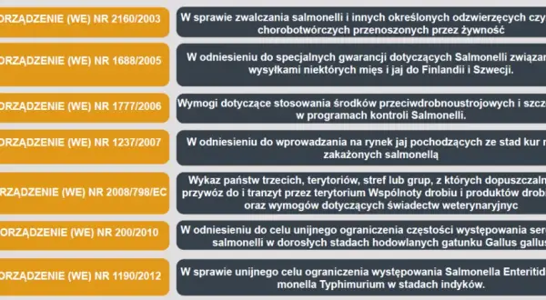 Salmonelloza: 5 filarów ochrony. Jak skutecznie zapobiegać?