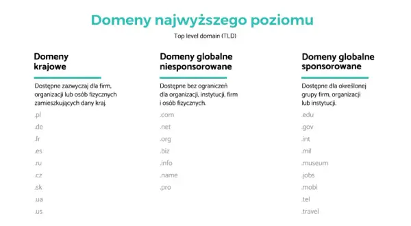 Domena .org: Dla kogo jest idealna i czy warto ją wybrać?