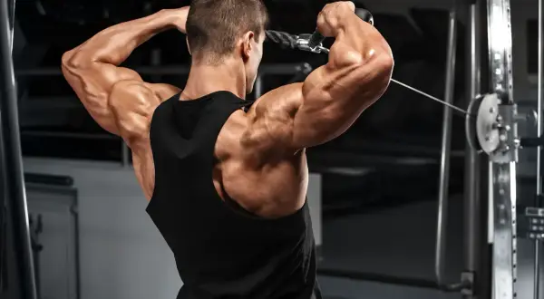 Ein Mann trainiert im Fitnessstudio, seine Muskeln sind stark ausgeprägt und die Venen zeichnen sich ab. Die Muskelpumpe ist deutlich sichtbar.