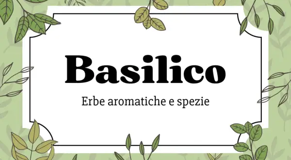 Etichette da stampare e ritagliare gratis: Basilico, erbe aromatiche e spezie. Perfette per i tuoi barattoli!