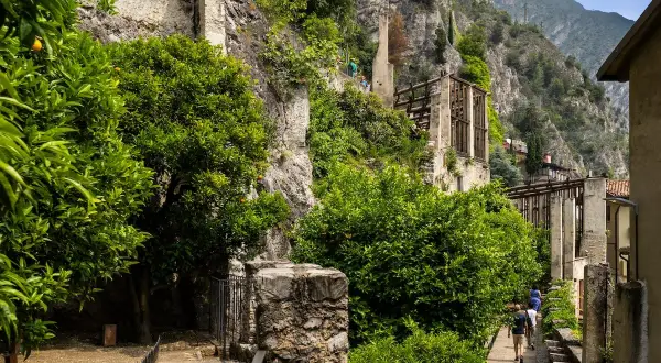 Sentiero tra alberi di agrumi e rovine, con la roccia a picco e la vista sulla limonaia del castel.