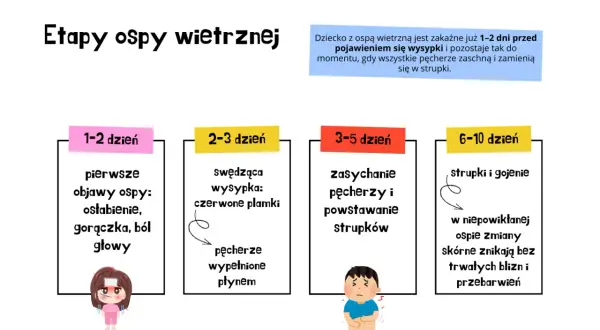 Etapy ospy wietrznej: 1-2 dzień - pierwsze objawy, 2-3 dzień - wysypka, pęcherze, 3-5 dzień - strupki, 6-10 dzień - gojenie. Okres wylęgania trwa 1-2 dni przed wysypką.