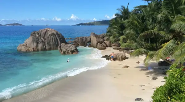 Rajska plaża z palmami i granitowymi skałami. Czy to Mauritius czy Seszele? Woda kusi turkusowym kolorem.