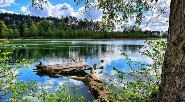 Ośno Lubuskie atrakcje: odkryj ukryte skarby i wyjątkowe miejsca