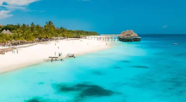 Rajska plaża na Zanzibarze z białym piaskiem, palmami i turkusową wodą.