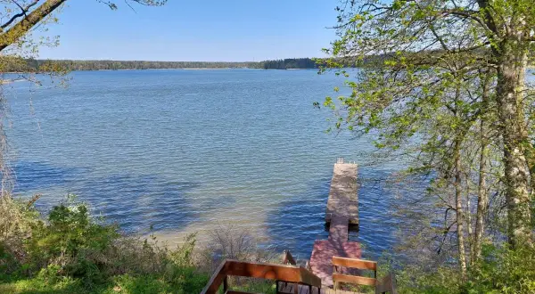 Drewniane schody prowadzą do pomostu nad spokojnym jeziorem Trześniowskim.