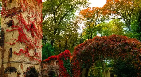 Nieborów atrakcje: Odkryj najpiękniejsze miejsca i tajemnice