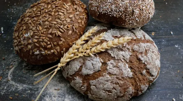 Trzy bochenki chleba, jeden posypany słonecznikiem, drugi ziarnami, trzeci mąką. Kłosy zbóż leżą na wierzchu. Dowiedz się, jak odświeżyć chleb.