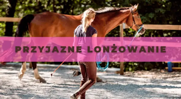 Jeździectwo Lublin: wyjątkowe możliwości edukacyjne i sportowe