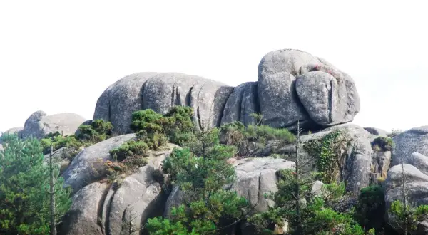 Enormes rocas de granito, los penedos de pasarela e traba, se alzan entre pinos y vegetación, con un cielo blanco de fondo.