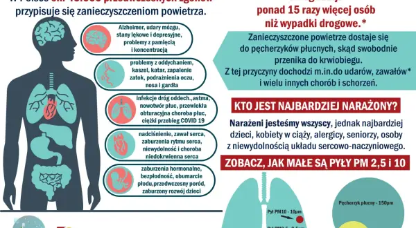 Zanieczyszczone powietrze powoduje 45 tys. zgonów rocznie w Polsce, prowadząc do chorób serca, płuc i mózgu. Smog jest groźniejszy od wypadków drogowych.