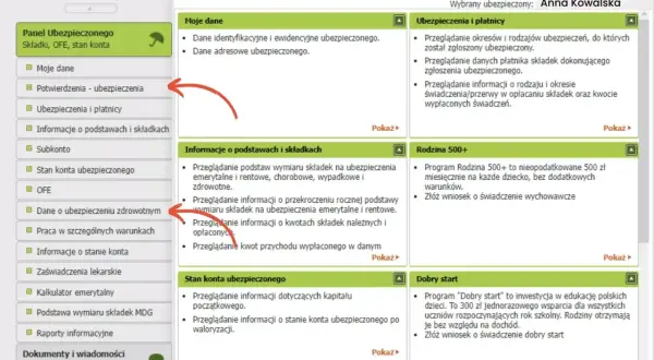 Jakie dokumenty do A1 dla kierowcy? Uniknij problemów z ubezpieczeniem