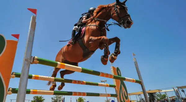 Jeździectwo sportowe lub rekreacyjne: co wybrać dla siebie?