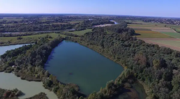 Malownicze, dzikie wody sportowe, idealne na łowisko karpiowe. Otoczone bujną zielenią, z dala od cywilizacji.
