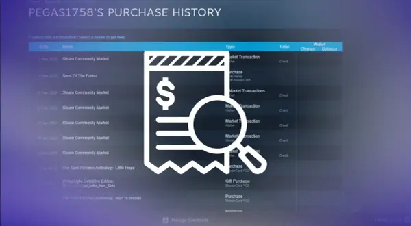 Ikona paragonu ze znakiem dolara i lupą na tle historii zakupów na Steam.
