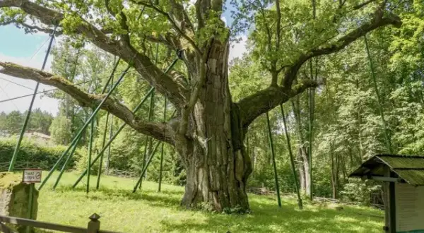 Najlepsze atrakcje we Włoszczowej, które musisz zobaczyć podczas wizyty