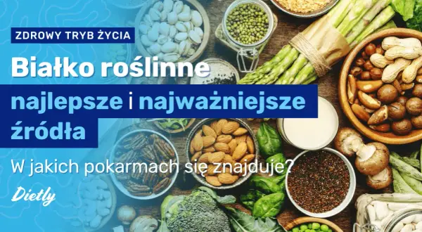 Co zawiera białko roślinne? Odkryj jego wartości odżywcze i źródła