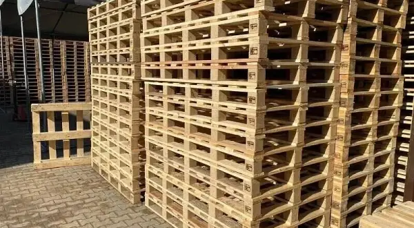 Ile kosztuje europaleta w skupie? Sprawdź ceny i stany palet