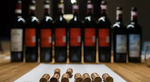 Rząd butelek wina, w tym wino brunello, i korki na papierze.