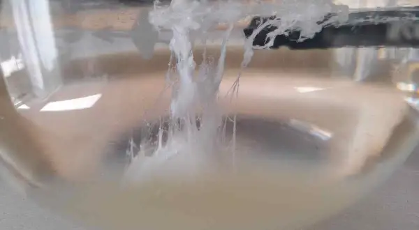 La reazione chimica che ricorda come fare la barca di San Giovanni: filamenti bianchi si formano in un liquido torbido.