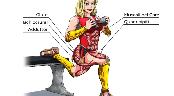 Squat bulgaro: i muscoli coinvolti includono glutei, ischiocrurali, adduttori, quadricipiti e core.