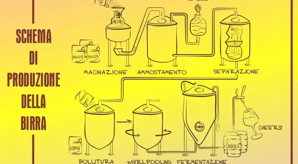 Schema di produzione della birra: macinazione malto, ammostamento, separazione, bollitura, luppolatura, whirlpooling, fermentazione. Nasce una birra ad alta fermentazione!