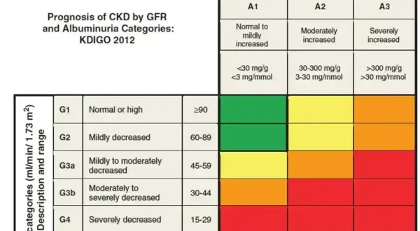 Tabela prognozy PChN wg KDIGO 2012. GFR co to za badanie? Pokazuje kategorie GFR i albuminurii, od zielonego (niski ryzyko) do czerwonego (wysokie ryzyko).