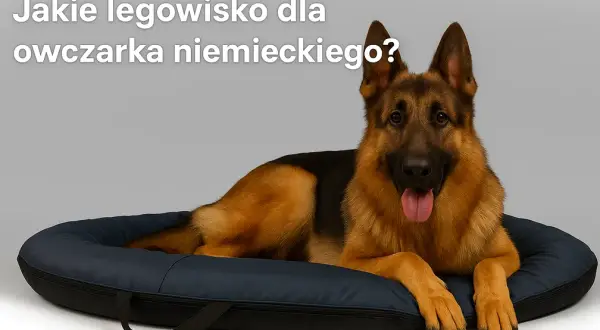 Jakie legowisko dla owczarka niemieckiego zapewni mu komfort i zdrowie
