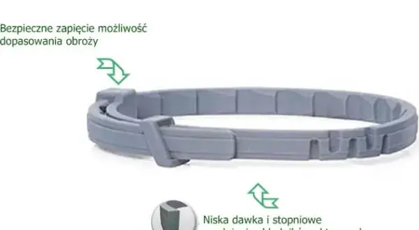 Obroża Foresto czy tabletki - co wybrać dla swojego psa?