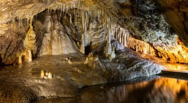 Jaskinia Niedźwiedzia zachwyca stalaktytami i stalagmitami. Czas zwiedzania to podróż w głąb ziemi.