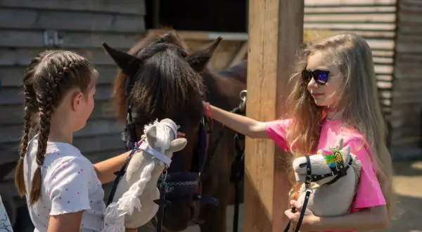Dwie dziewczynki bawią się pluszowymi końmi. Jedna z nich głaszcze prawdziwego konia, a druga trzyma swojego hobby horse.