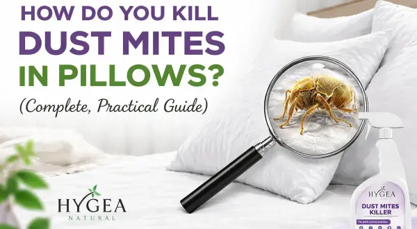 Learn how to get dust mites out of pillows with this guide. Magnified image shows a dust mite on a pillow, with a spray bottle nearby.