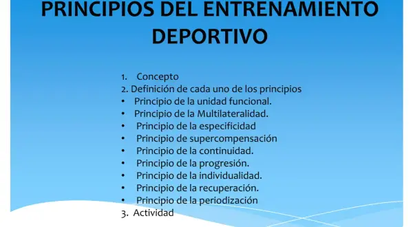 Entrenamiento: qué es, principios y tipos para transformar tu vida