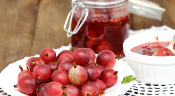 Frische Stachelbeeren auf einem Teller, daneben ein Glas mit Stachelbeermarmelade und eine Schale mit Marmelade. Perfekt, um sie mit Joghurt zu mischen.