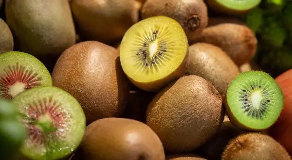 Ein Haufen Kiwis, einige ganz, andere aufgeschnitten, zeigen ihr grünes und gelbes Fruchtfleisch. Diese Früchte sind eine natürliche Quelle für Melatonin.