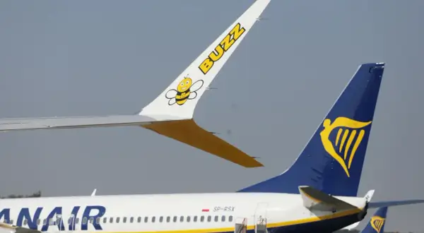 Dwa samoloty na płycie lotniska: jeden z logo Buzz i pszczółką, drugi z logo Ryanair. Czy to lot czarterowy a rejsowy?