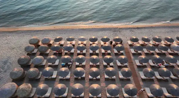 Rzędy leżaków pod słomianymi parasolami na plaży w Sithonii, z morzem w tle.