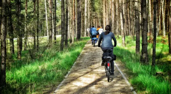 Grupa rowerzystów przemierza leśną ścieżkę wśród sosen. Malownicze wzgórza ostrzeszowskie zapraszają do aktywnego wypoczynku.