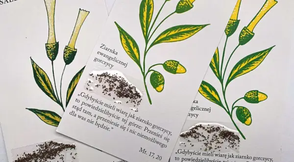 Ilustracje gałązek z żółtymi kwiatami i liśćmi, z przyklejonymi ziarnkami gorczycy. Cytat z Ewangelii Mateusza o przypowieści o ziarnku gorczycy.
