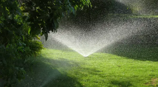Aspersor en acción, creando una fina lluvia para el riego del césped verde y frondoso.