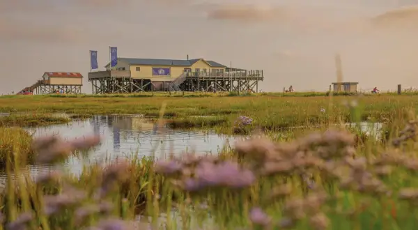 Sankt Peter-Ording: Gastro-Guide für Fisch, Pfahlbauten & mehr