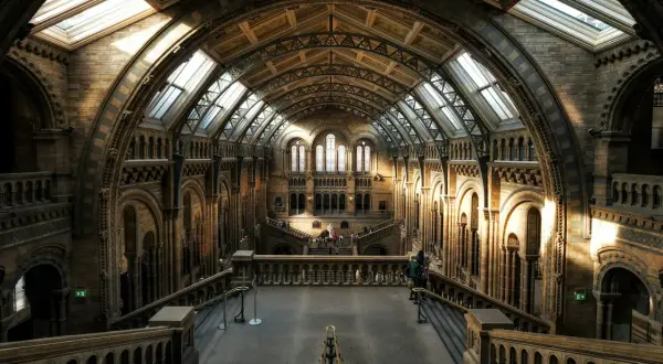 Wnętrze Muzeum Historii Naturalnej w Londynie. Sprawdź muzeum historii naturalnej londyn cena biletu, by zaplanować wizytę.
